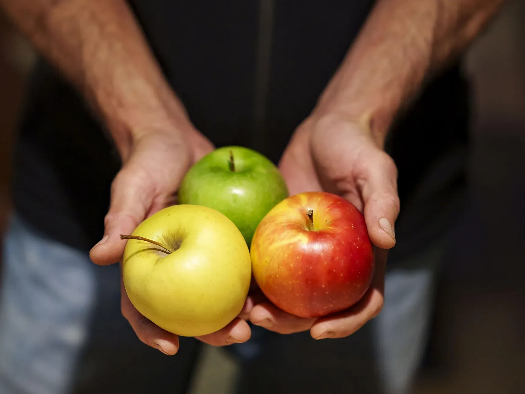 Visita guidata nel meleto dell'Ansitz Lidl a Prissiano in lingua tedesca Visita guidata nel meleto dell'Ansitz Lidl a Prissiano in lingua tedesca