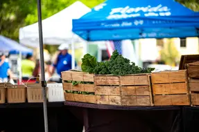 Foto stock gratuita su fornitori, prodotti freschi di fattoria, mercato contadino
